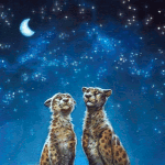99px.ru аватар Два гепарда смотрят на месяц в ночном небе, художник Nimrais