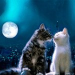 99px.ru аватар Короткошерстный серый полосатый кот милуется с беленькой кошечкой на крыше дома в полнолуние