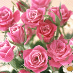 99px.ru аватар Букет розовых розовых роз