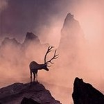 99px.ru аватар Олень стоит на горе, фотограф Caras Ionut