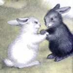 99px.ru аватар Белый и серый кролик который держит другого за лапу