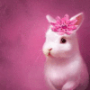 99px.ru аватар Кролик с розовым цветком на голове
