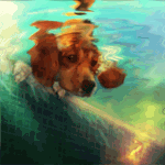 99px.ru аватар Собака породы бигль смотрит на золотую рыбку в воде, художница Haidy Hudson
