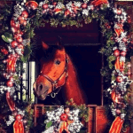 99px.ru аватар Коричневая лошадь в украшенном стойле