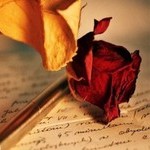 99px.ru аватар Красная роза лежит на исписанных листах