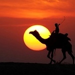 99px.ru аватар Путник верхом на верблюде движется по пустыне на закате