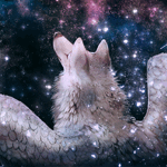 99px.ru аватар Волк с крыльями смотрит на космос