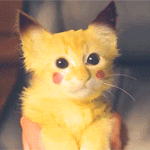Аватар Котенок раскрашенный под Пикачу / Pikachu
