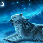 99px.ru аватар Волки нежатся на снегу, на фоне месяца и звезд в ночном небе