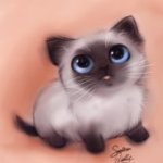 Аватар Маленький котенок с голубыми глазами