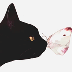 99px.ru аватар Черная кошка с бабочкой на носу