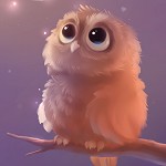 Аватар Сова сидит на ветке и смотрит вверх на фоне ночного неба