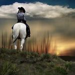99px.ru аватар Девушка на белой лошади на фоне природы