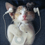 Аватар Котенок спит, слушая музыку в плеере Ipod