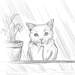 99px.ru аватар Кошка смотрит на дождь за окном, девушка подходит и гладит ее по голове