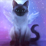 99px.ru аватар Сиамская кошка с ангельскими крыльями, художник Apofiss