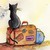 Аватар Черный котенок сидит на чемодане к нам спиной