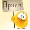 Аватар Цыпленок с плакатом, на котором написано Привет