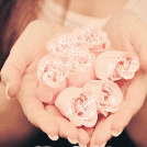 99px.ru аватар Нежные розы в руках
