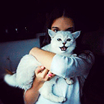 99px.ru аватар Девушка держит белую кошку в руках