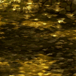 99px.ru аватар Падающая капля воды в реку, из аниме Семейка не от мира сего / Uchouten Kazoku