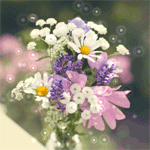 99px.ru аватар Букет из разных полевых цветов