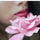 99px.ru аватар Розовая роза около губ девушки