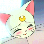 99px.ru аватар Кот Артемис смущенно смотрит на кошку Луну, эпизод из аниме Сейлор Мун / Sailor Moon
