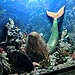 Аватар Русалочка в подводном мире