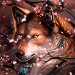 99px.ru аватар Волк выглядывает из веток сакуры, смотря на падающие листья