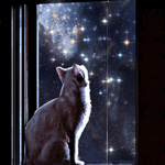99px.ru аватар Белая кошка смотрит на космос, который виднеется за окном