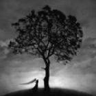 Аватар Силуэт девушки с шалью возле дерева, фотограф Dariusz Klimczak