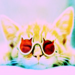 99px.ru аватар Кошка в очках в виде котов