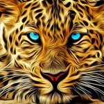 99px.ru аватар Морда леопарда с голубыми глазами