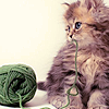 99px.ru аватар Котенок играет с клубком