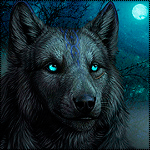 99px.ru аватар Волк смотрит на луну в ночном небе