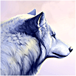 Аватар Белый волк в профиль