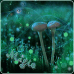 99px.ru аватар Два гриба на ночной поляне, Magic / магия