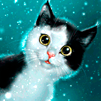 99px.ru аватар Черно-белая кошка под снегопадом
