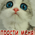 Аватар Прости меня говорит киска