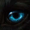 99px.ru аватар Глаз волка, автор luxdani