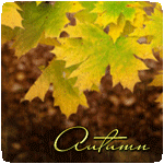 99px.ru аватар Кленовые листья под дождем (Autumn / Осень)