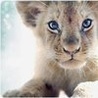 99px.ru аватар Маленький львенок с голубыми глазами