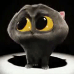 Аватар Котенок с желтыми глазами