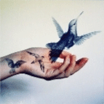 99px.ru аватар Татуировка в виде колибри слетает у девушки с руки