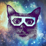 99px.ru аватар Кошка сиамской породы Скифча в очках на фоне космоса
