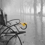 Аватар Дождь и одинокий желтый листик