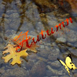 99px.ru аватар Летящая бабочка и круги на воде (Autumn / Осень)