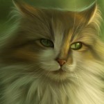Аватар Кот с зелеными глазами