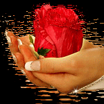 99px.ru аватар Женские руки держат розу над водой